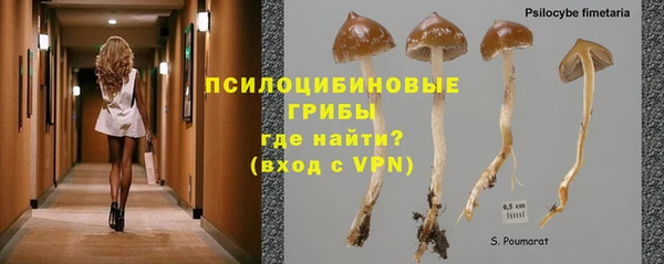 герыч Каменка