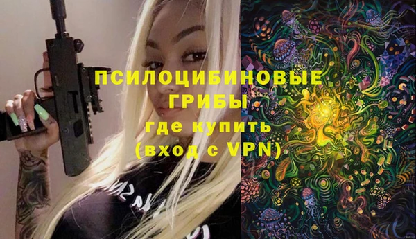 герыч Каменка